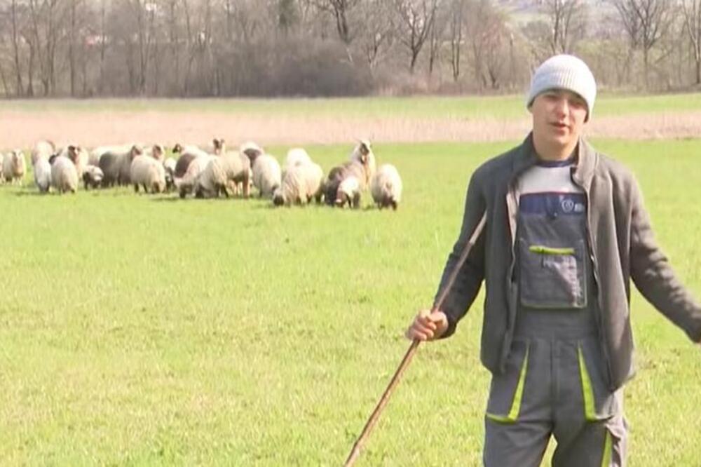 "NEMA TU OVCE ILI JA": Mario se od malih nogu bavi PASTIRSKIM POSLOM, od buduće izabranice očekuje samo JEDNO!