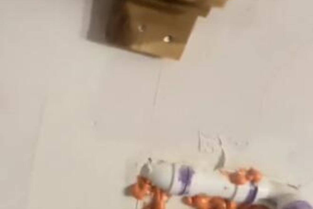 ŽENA ČULA GREBANJE IZ ZIDA, PA REŠILA DA PROVERI ŠTA JE TO IZA: Zbog PRIZORA koji je zatekla odmah zvala POLICIJU