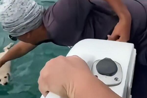 PAS JE DRHTAO I KOPRCAO SE U HLADNOJ VODI DOK SU GLEDALI SA PALUBE: Ono što su mu uradili podiglo državu na noge