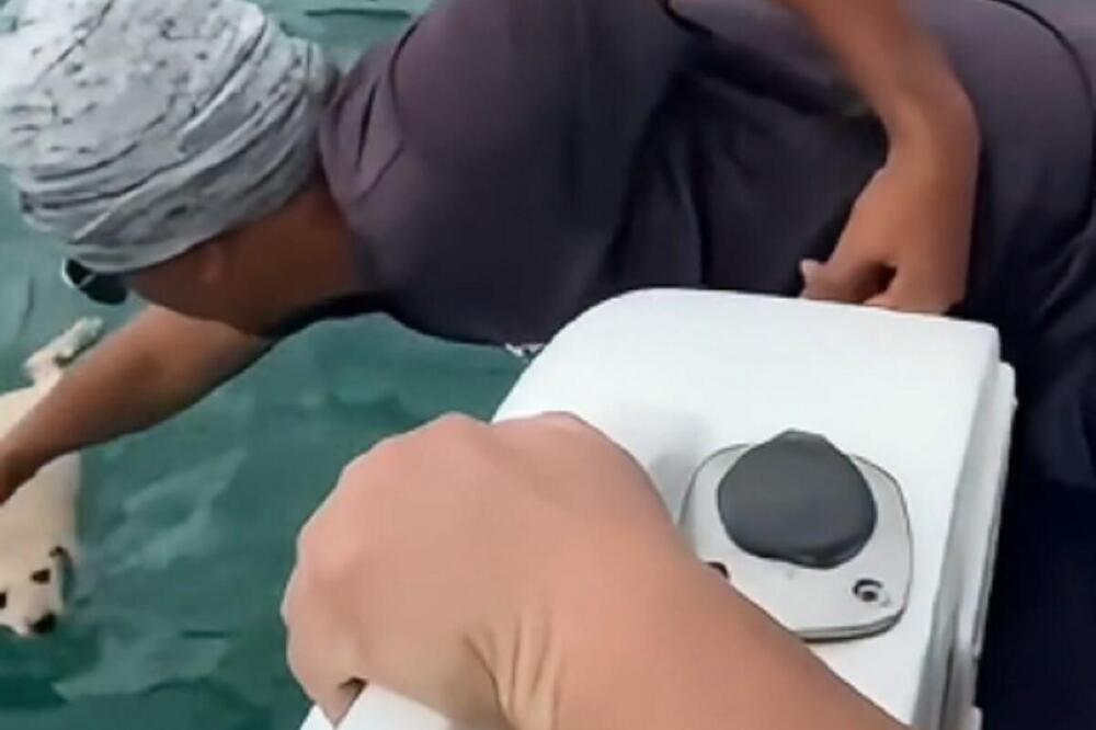 PAS JE DRHTAO I KOPRCAO SE U HLADNOJ VODI DOK SU GLEDALI SA PALUBE: Ono što su mu uradili podiglo državu na noge