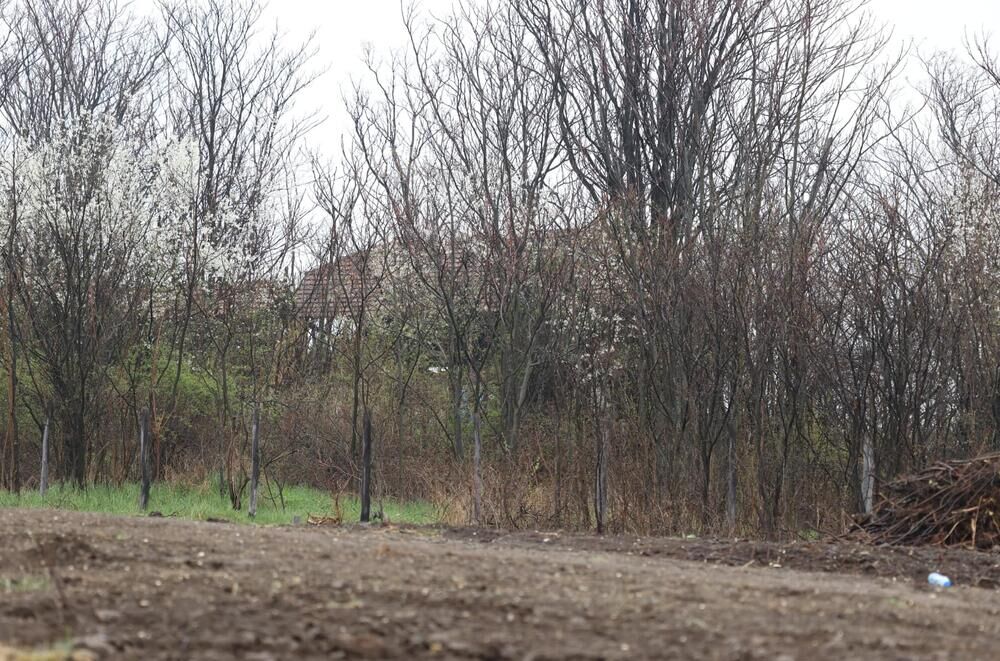 Kuća u blizini koje je Danka nestala