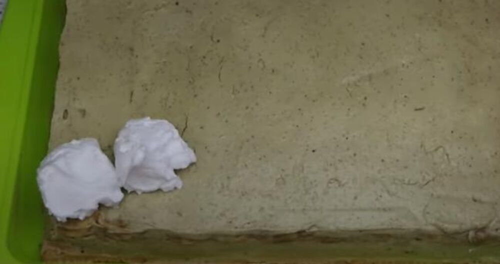 Šlag preko posne torte 'san snova'