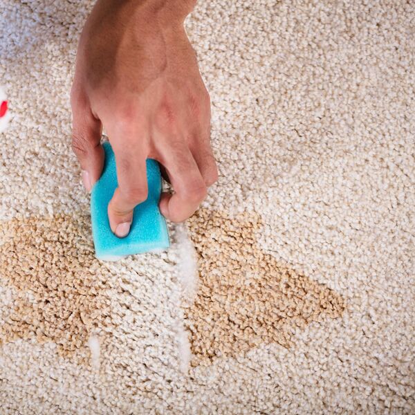 Domaće sredstvo za čišćenje tepiha koje deluje: Univerzalni recept za sve mrlje, od vina do blatnjavih šapa