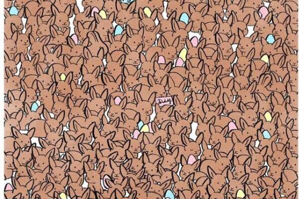 PRONAĐITE 3 ČOKOLADNA ZECA MEĐU OSTALIM ZEČEVIMA: Iluzija koju samo POSEBNI mogu da reše za 28 sekudni (FOTO)