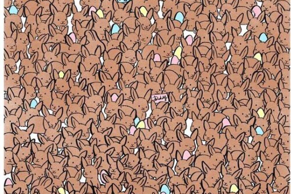 PRONAĐITE 3 ČOKOLADNA ZECA MEĐU OSTALIM ZEČEVIMA: Iluzija koju samo POSEBNI mogu da reše za 28 sekudni (FOTO)