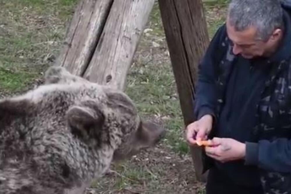 PETAR SPASIO MEDVEDICE OD SIGURNE SMRTI, A SADA... Snimak iz Doboja morate da VIDITE, ovo će vas ODUŠEVITI (VIDEO)
