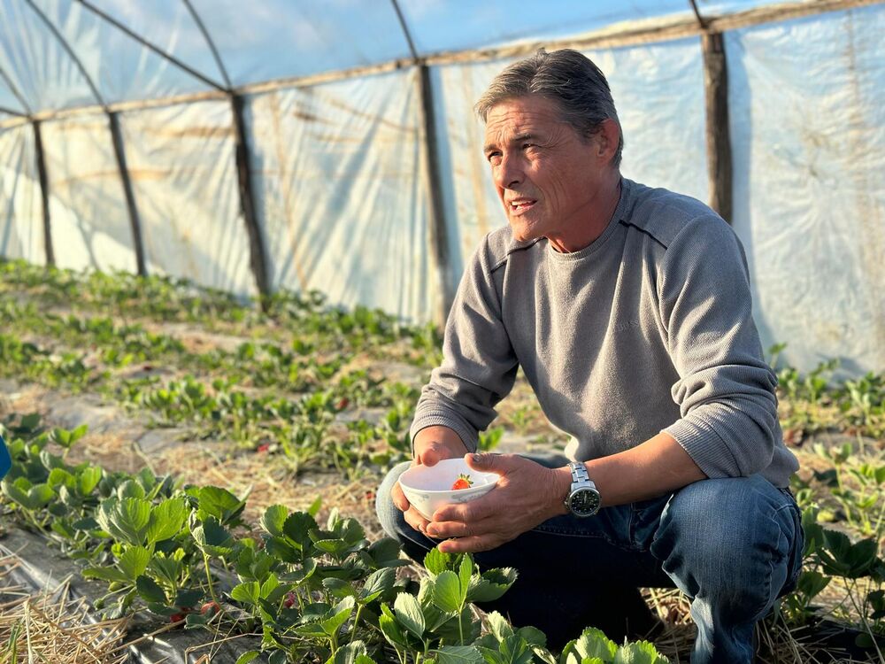 Milovan Kolović Gera