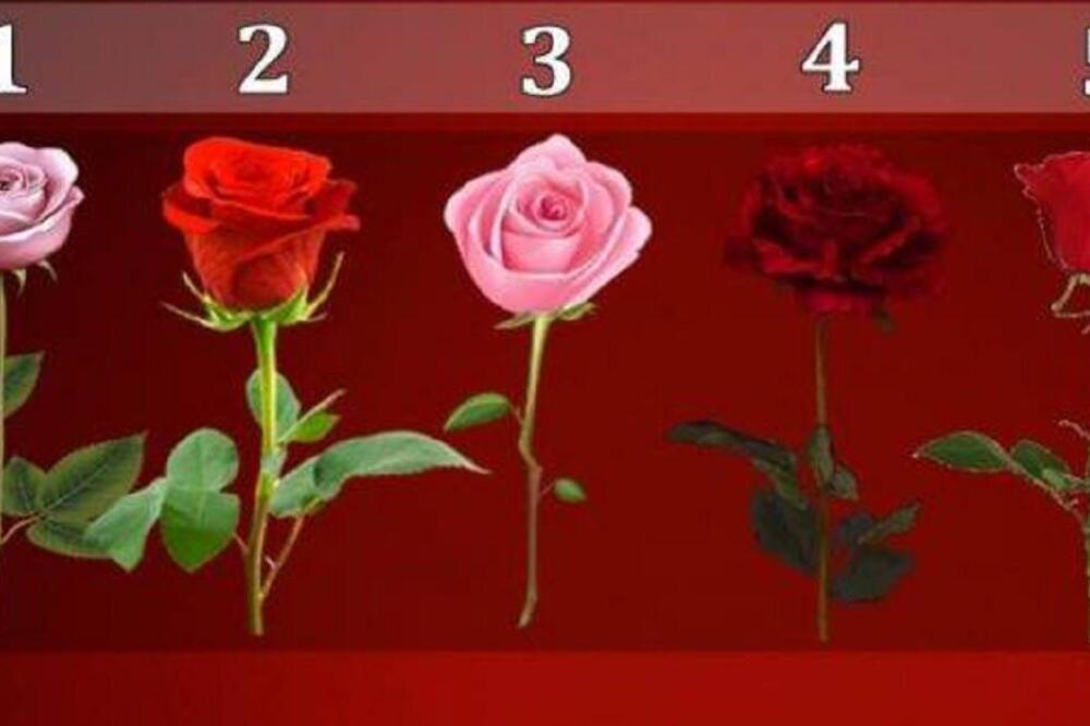 IZABERITE RUŽU KOJA VAM JE PRVA UPALA U OČI I SAZNAJTE ISTINU O SEBI: Test podsvesti OTKRIVA vaše najmračnije TAJNE