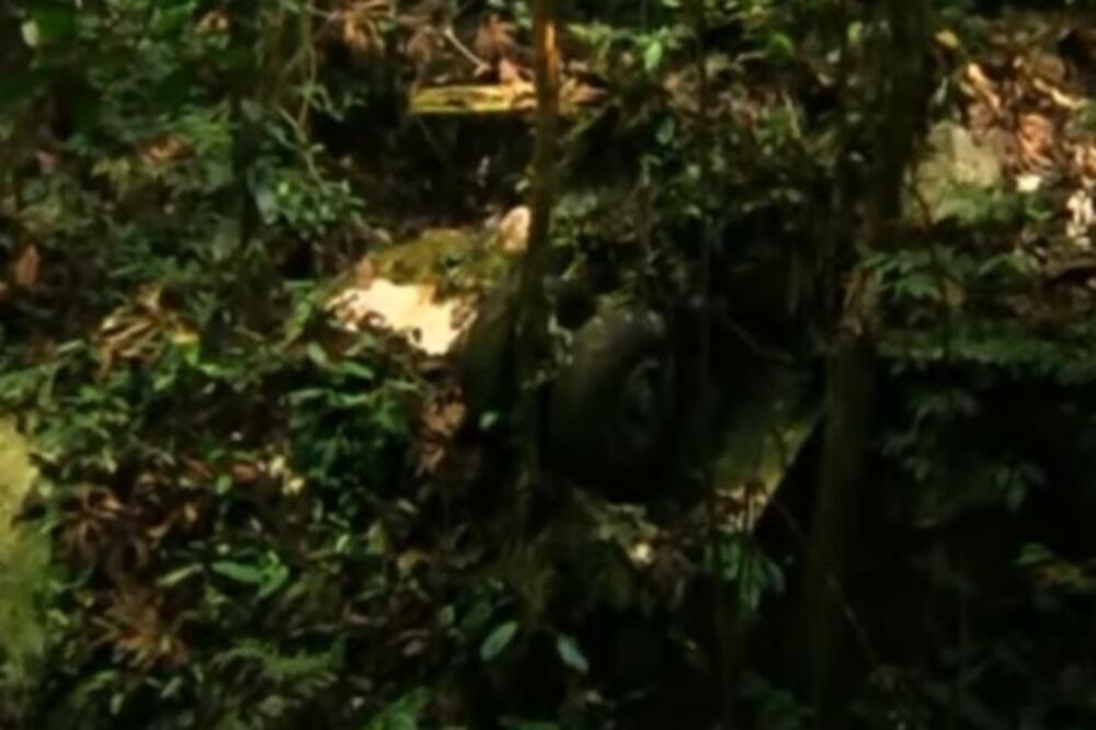 TINEJDŽERKA PREŽIVELA PAD AVIONA, PA SAMA LUTALA DŽUNGLOM 11 DANA: Jedno je i dalje KOPKA, ovo joj NE DA MIRA...