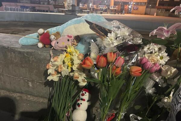 "NE ŽELIM DA RAZUMEM": Bosanski umetnik posvetio ilustraciju ubijenoj Danki (FOTO)