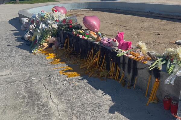 "NE VERUJEM DA JE SAMA..." Pradeda male Danke (2) otkrio da li je ona na SNIMKU IZ BEČA