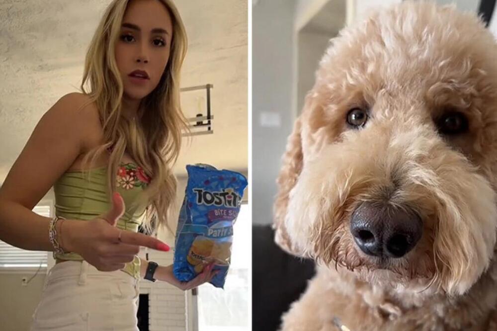 HTELA DA SEDNE PORED DEČKA, A ONDA JE PAS URADIO OVO: Ljudi u neverici gledaju šta mu je palo NA PAMET (VIDEO)