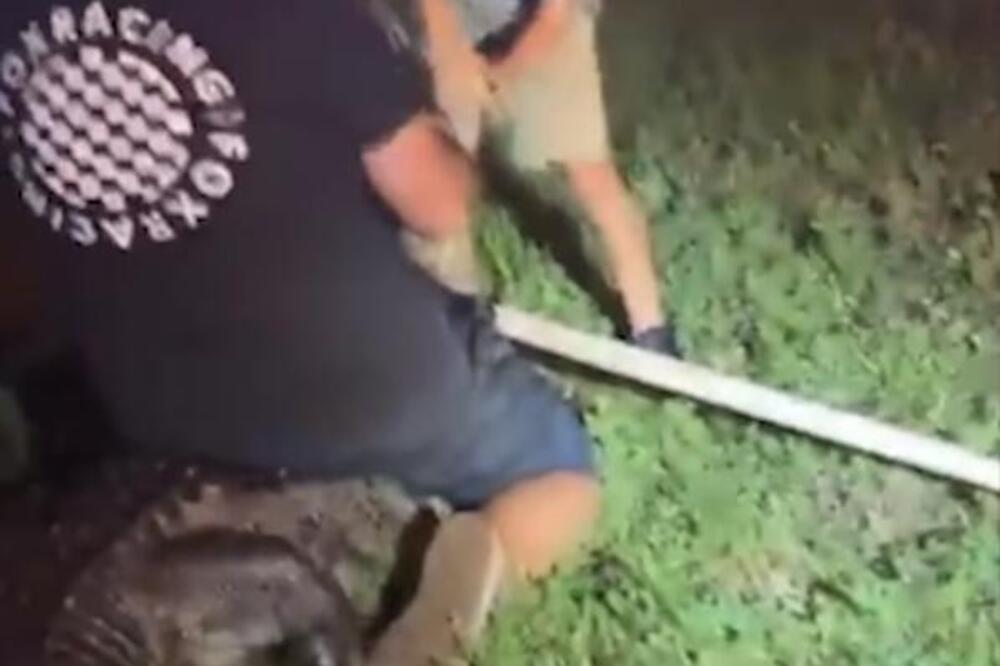 GLEDAJTE KAKO SE NEUSTRAŠIVI DEČAK BORI SA ALIGATOROM: Ovo ni najhrabriji NE BI SMELI, a on nije ni ZASTAO (VIDEO)