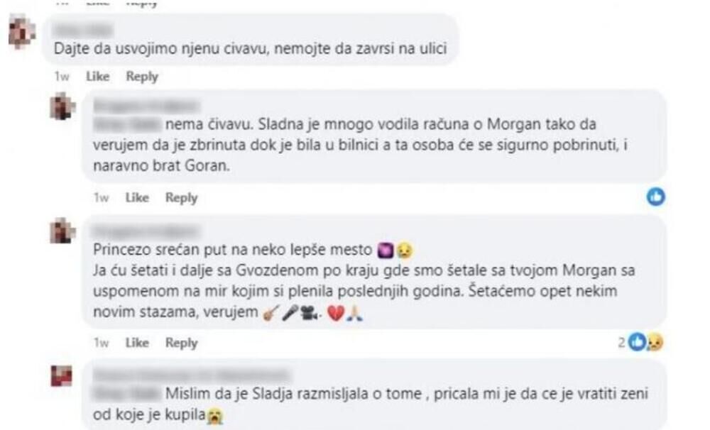 Poslednje delo Slađane Milošević pred smrt kida dušu, evo kome je ostavila deo svoje ušteđevine