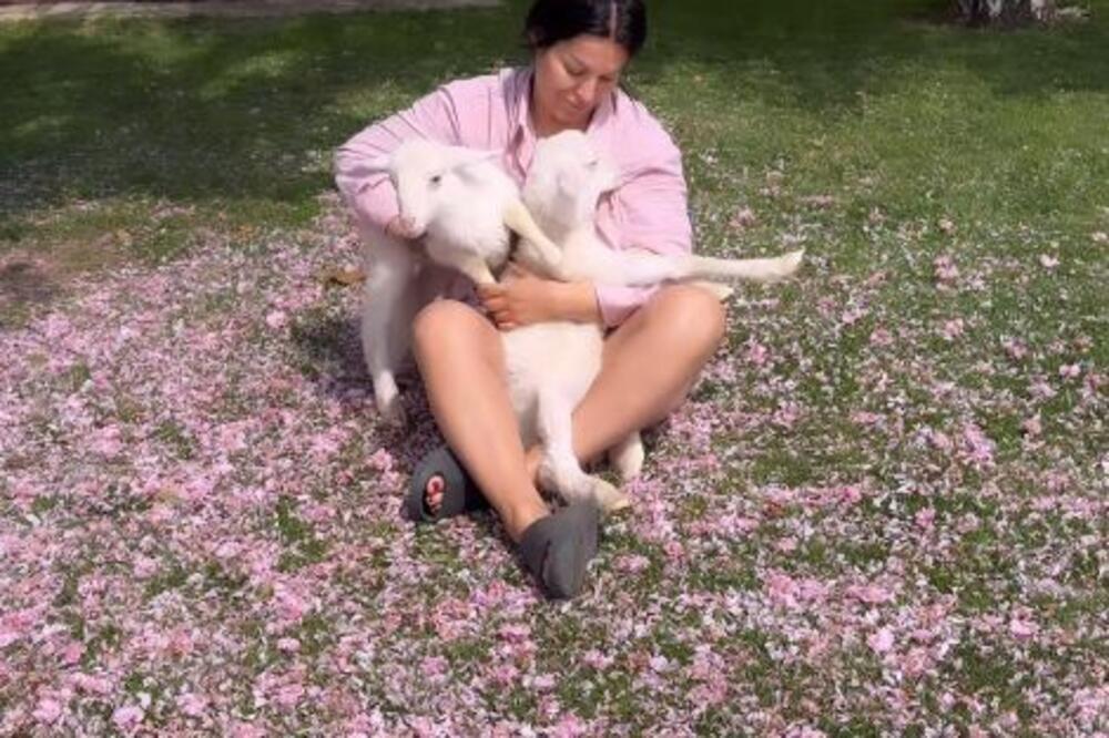 KAKVA KRALJICA! SEKA ALEKSIĆ OPLEMENILA IMANJE JAGANJCIMA: Pevačica IZNENADILA sve ovim POSTUPKOM