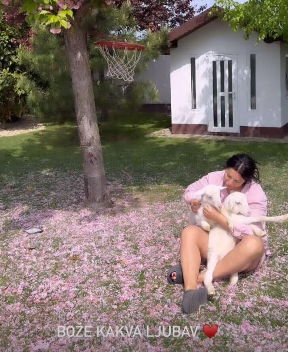 Seka Aleksić kupila jaganjce