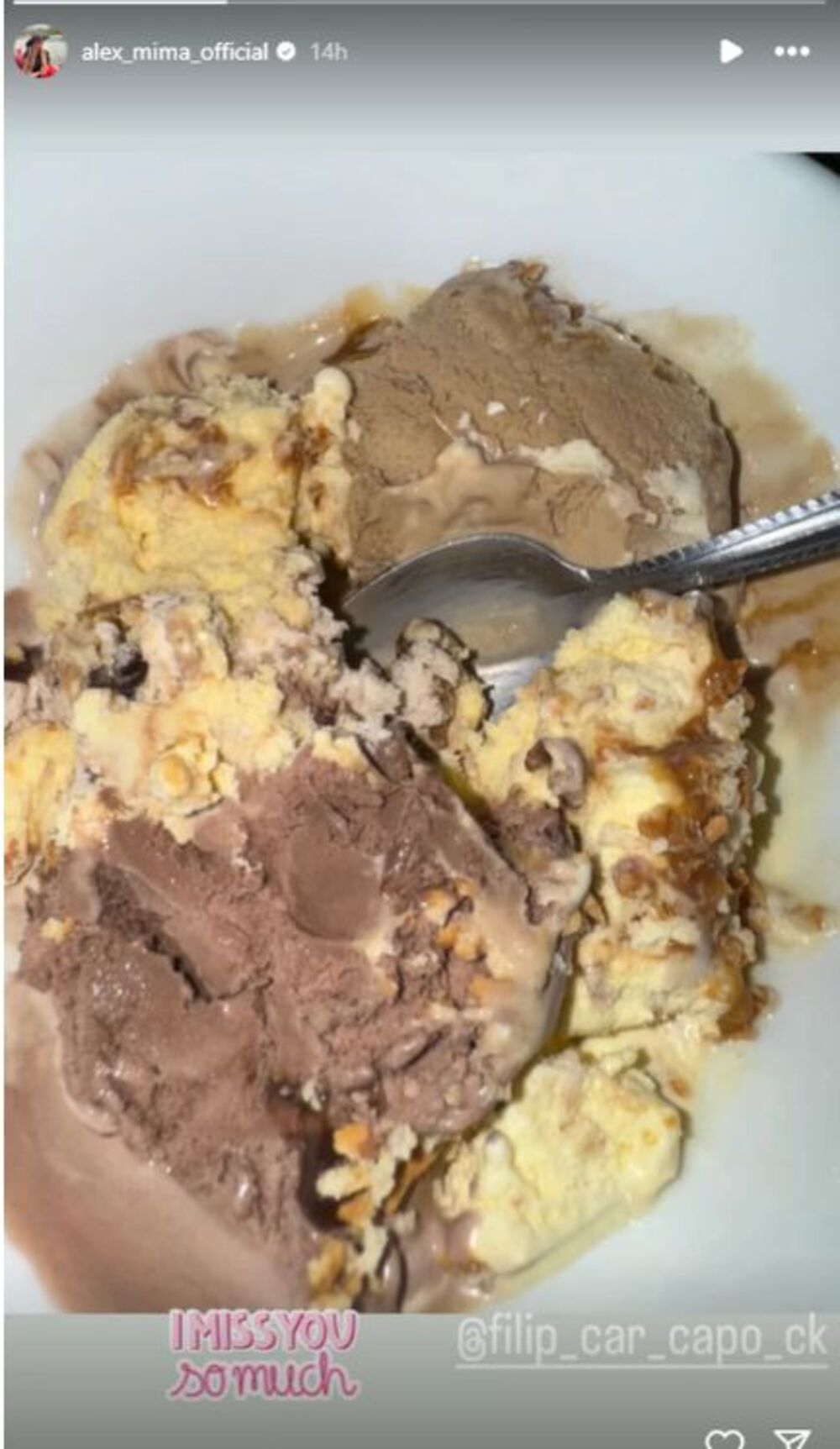 Objava Aleksandre Nikolić