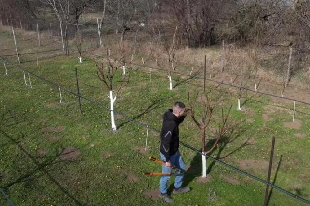 NIKOLA JE MLADI BIZMISMEN, IMA SAMO 20 GODINA: Nije mu odmah pošlo za rukom, ovo je njegov RECEPT ZA USPEH