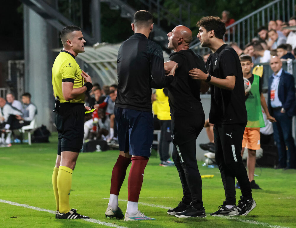 Igor Duljaj, FK Partizan, FK Čukarički