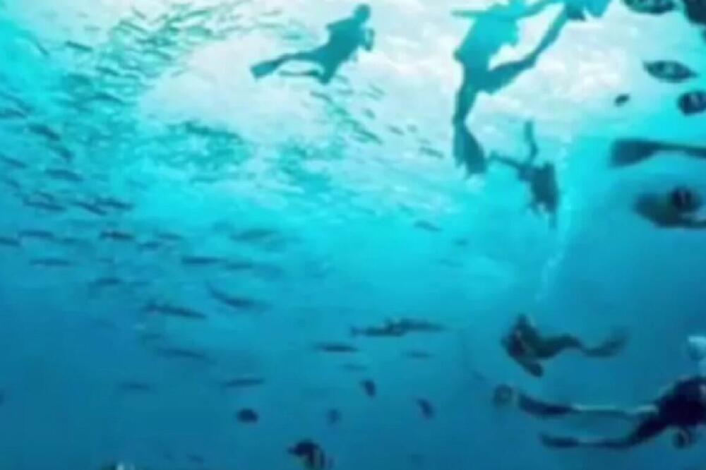 OPTIČKA ILUZIJA OTKRIVA DA LI VAS DRUGI MOGU PREVARITI: Samo NAJISKUSNIJI će videti jedno na ovoj FOTOGRAFIJI