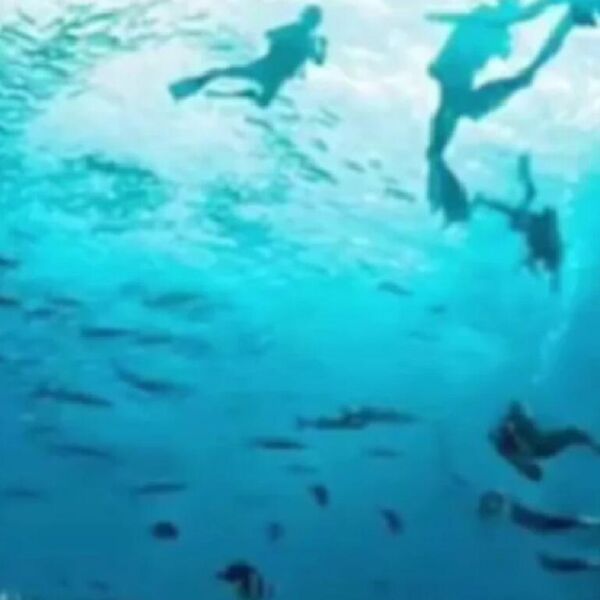 OPTIČKA ILUZIJA OTKRIVA DA LI VAS DRUGI MOGU PREVARITI: Samo NAJISKUSNIJI će videti jedno na ovoj FOTOGRAFIJI