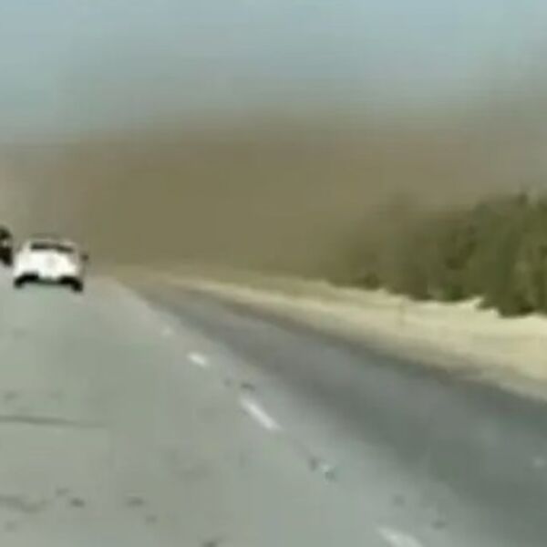 VOZAČ JE IŠAO AUTO-PUTEM, KAD JE UGLEDAO OVAJ PRIZOR ISPRED SEBE: Pola ljudi sa dozvolom ne bi znalo šta da rade