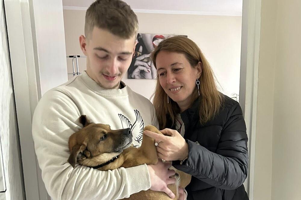 PRESLATKI ŽUĆA POSLE PET GODINA SE VRATIO VLASNIKU: Beograđanka ga pronašla promrzlog na kiši (FOTO)