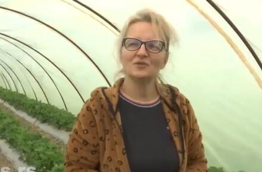 Ljiljana Kačarević