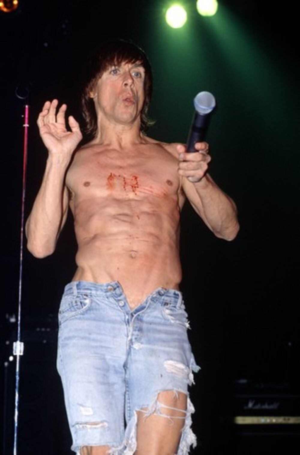  Poslednji put u brak stupio sa 22 godine mlađom Ninom Alu