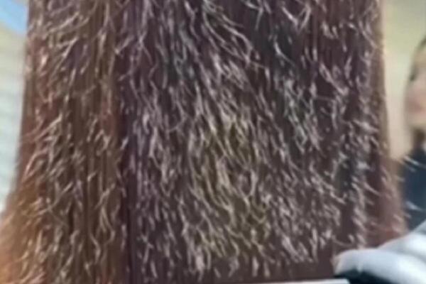 OVAJ KUĆNI PREPARAT RADI KAO MAGIJA: Trebaju vam DVE NAMIRNICE koje će ovakvu kosu pretvoriti u SVILENU I SJAJNU