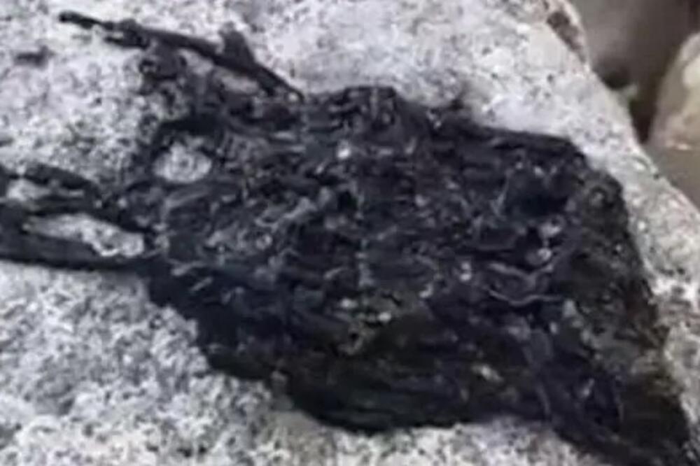 CRNA MASA KOJA GMIŽE SLEDILA IH JE U MESTU: Nisu znali šta je, ali kad su čuli, POBEGLI su glavom bez obzira