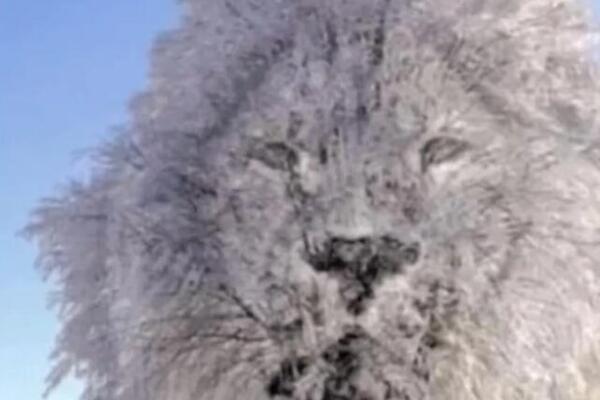 ONO ŠTO PRVO UGLEDATE NA SLICI OTKRIVA KAKVI STE ZAPRAVO: Saznajte šta se krije duboko u VAŠOJ LIČNOSTI (FOTO)