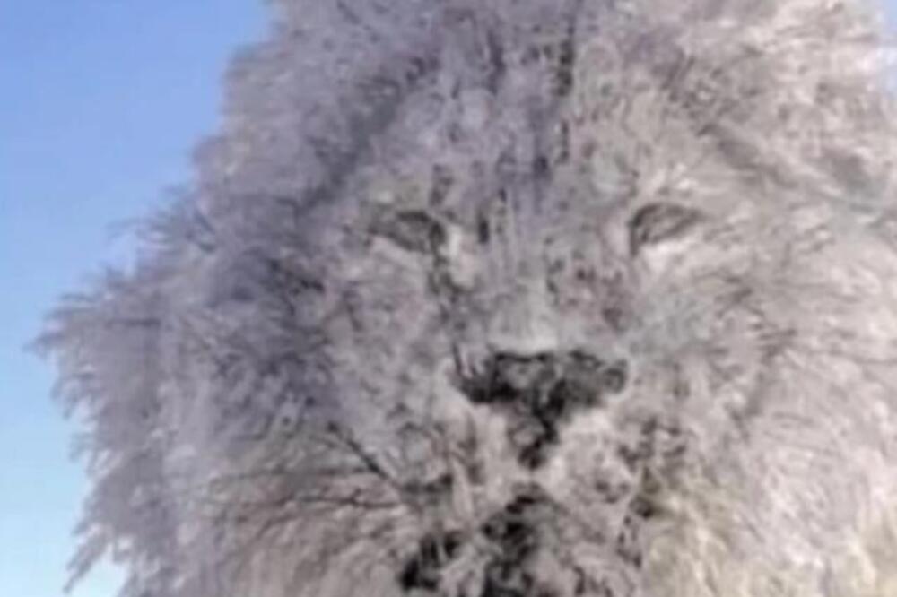 ONO ŠTO PRVO UGLEDATE NA SLICI OTKRIVA KAKVI STE ZAPRAVO: Saznajte šta se krije duboko u VAŠOJ LIČNOSTI (FOTO)