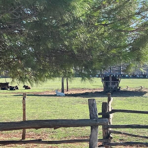 Najmanji grad na svetu nam je u komšiluku, može da se obiđe za 5 minuta: Zbog ove 1 stvari, turisti ostaju DANIMA