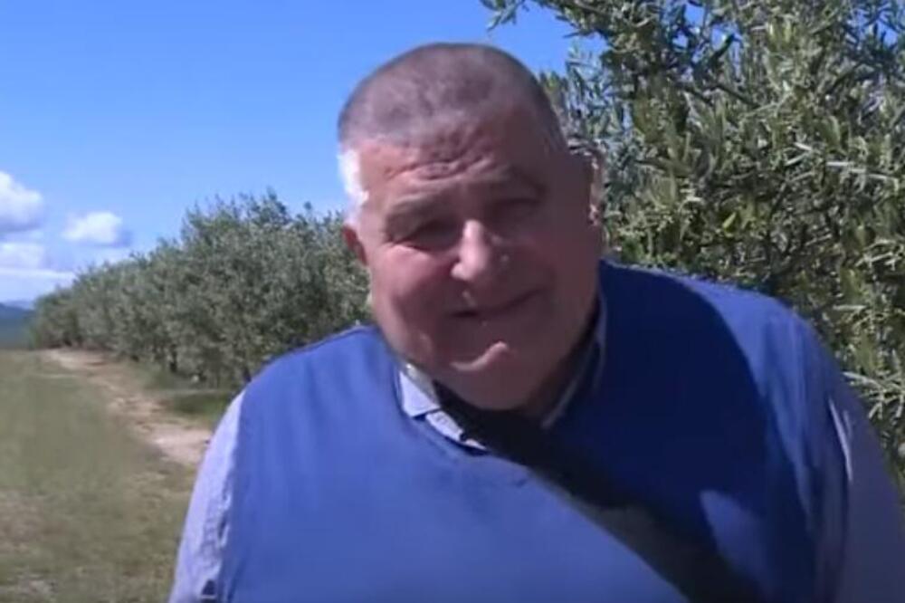 DRAGAN IMA NAJVEĆI MASLINJAK NA BALKANU, MEĐUTIM POSTOJI PROBLEM! Dnevnica odlična, pare samo "kaplju", ali...