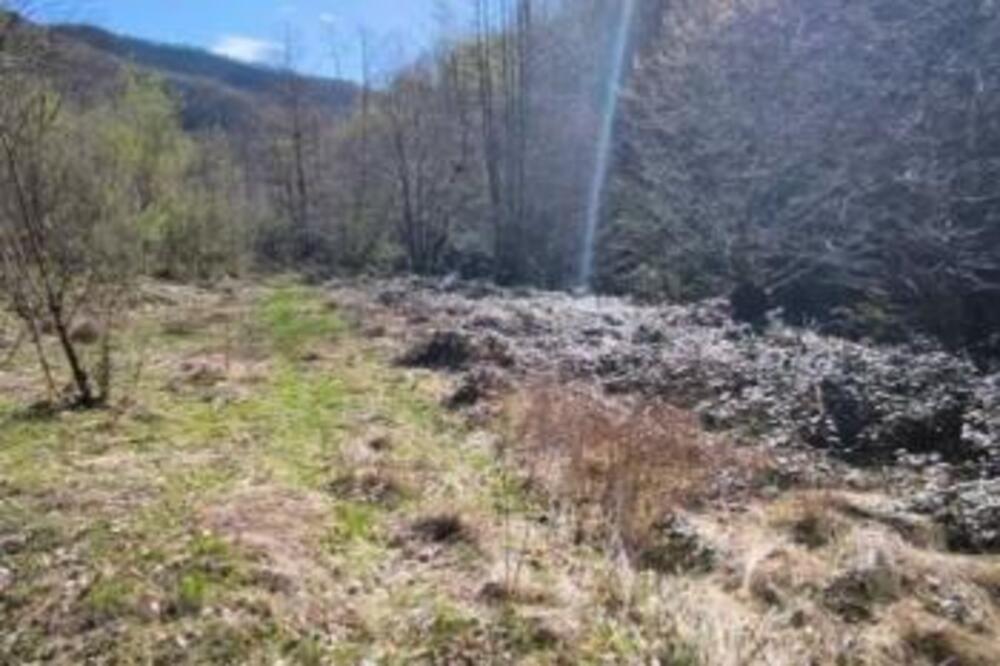 DVE PARCELE ZEMLJIŠTA ZA SAMO 13.500 EVRA: Kroz dvorište teče reka Zabava, svuda okolo netaknuta priroda (FOTO)