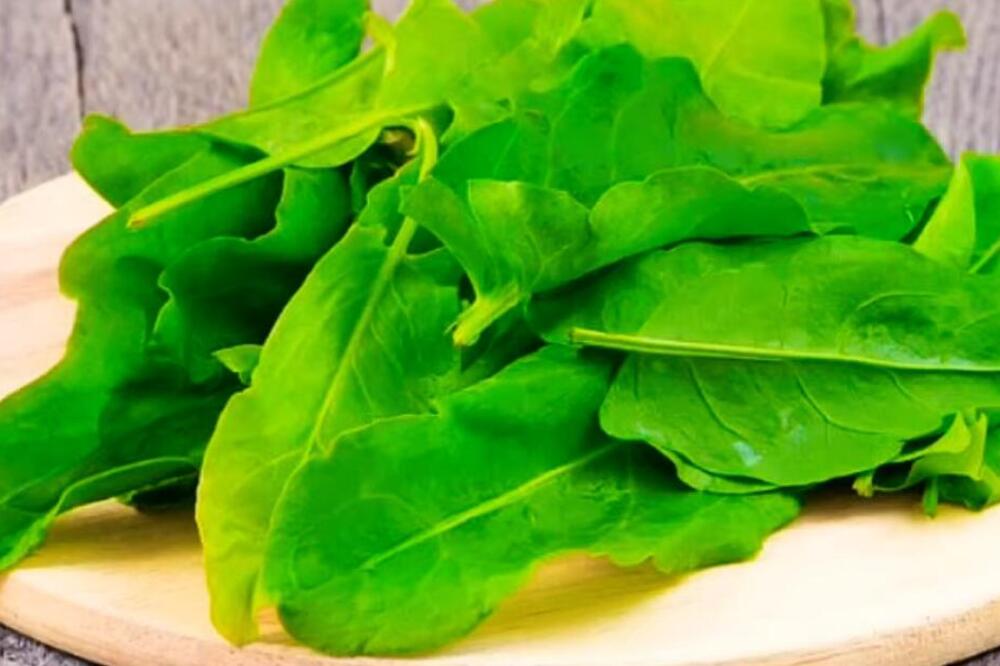 NEKAD SMO OVU SKUPU I RETKU BILJKU BRALI PO LIVADAMA: Podspešuje rad jetre i creva -3 tradicionalna NAČINA PRIPREME