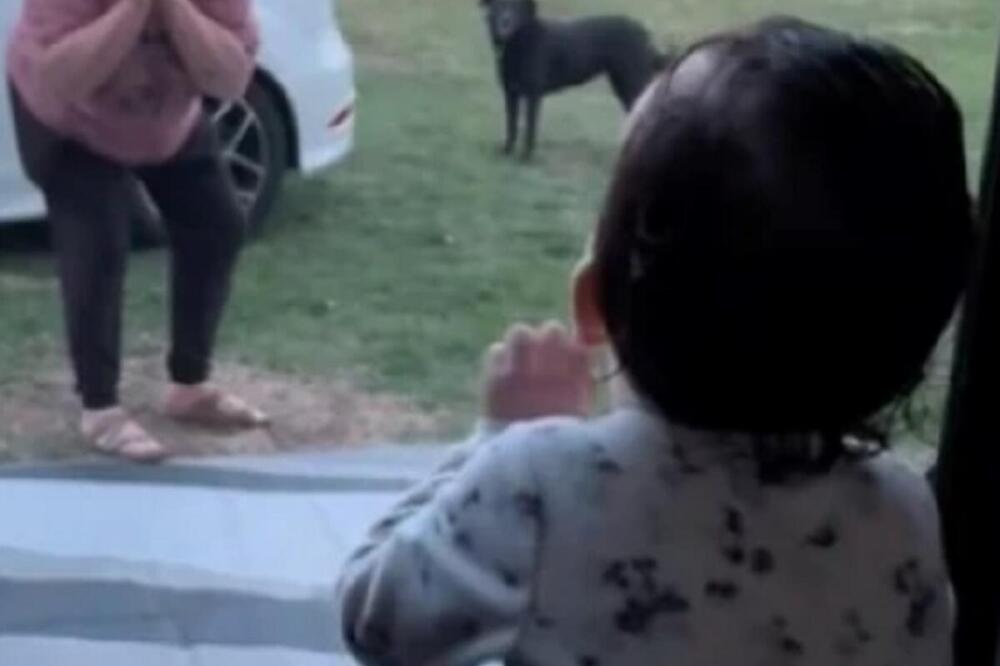 POZDRAVLJANJE BAKE I UNUKE RAZNEŽILO MILIONE: Video je izmamio OSMEH SVIMA - i odmah postao HIT NA MREŽAMA