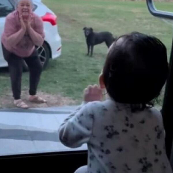 POZDRAVLJANJE BAKE I UNUKE RAZNEŽILO MILIONE: Video je izmamio OSMEH SVIMA - i odmah postao HIT NA MREŽAMA