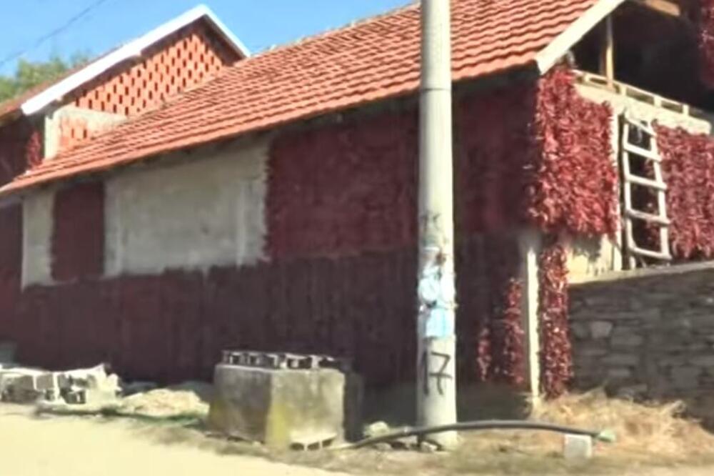 KUĆE U SELU NADOMAK LESKOVCA POCRVENE SVAKE GODINE: Neverovatna dekoracija krasi zidove, evo zbog čega! (VIDEO)