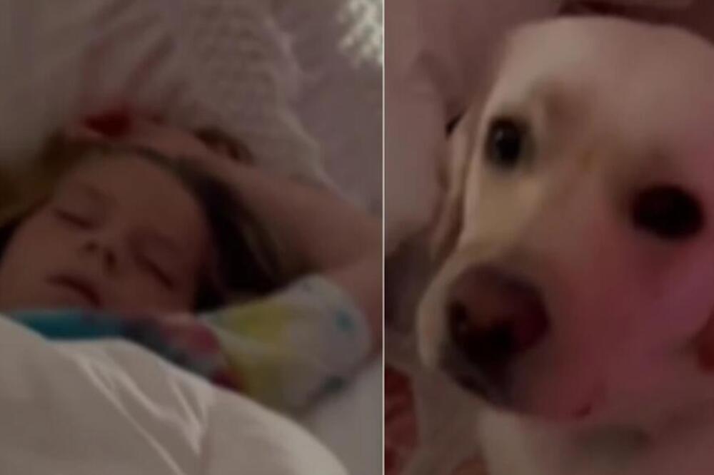 PAS ODVUKAO RODITELJE KOD ĆERKE U SOBU, ČIM SU JE VIDELI POZVALI SU DOKTORA: Ljubimac je SPASAO ŽIVOT devojčici