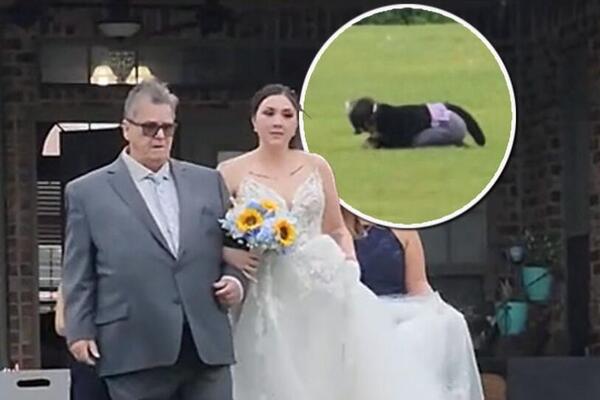 BIZARNA SCENA NA VENČANJU KOJU DO SADA NISTE VIDELI: Umesto u mladence svi gledali u ŽENU MAČKU, evo šta je radila