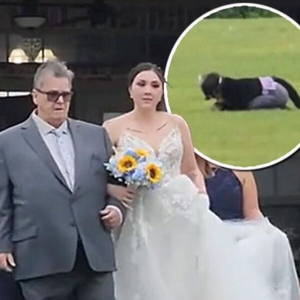 BIZARNA SCENA NA VENČANJU KOJU DO SADA NISTE VIDELI: Umesto u mladence svi gledali u ŽENU MAČKU, evo šta je radila