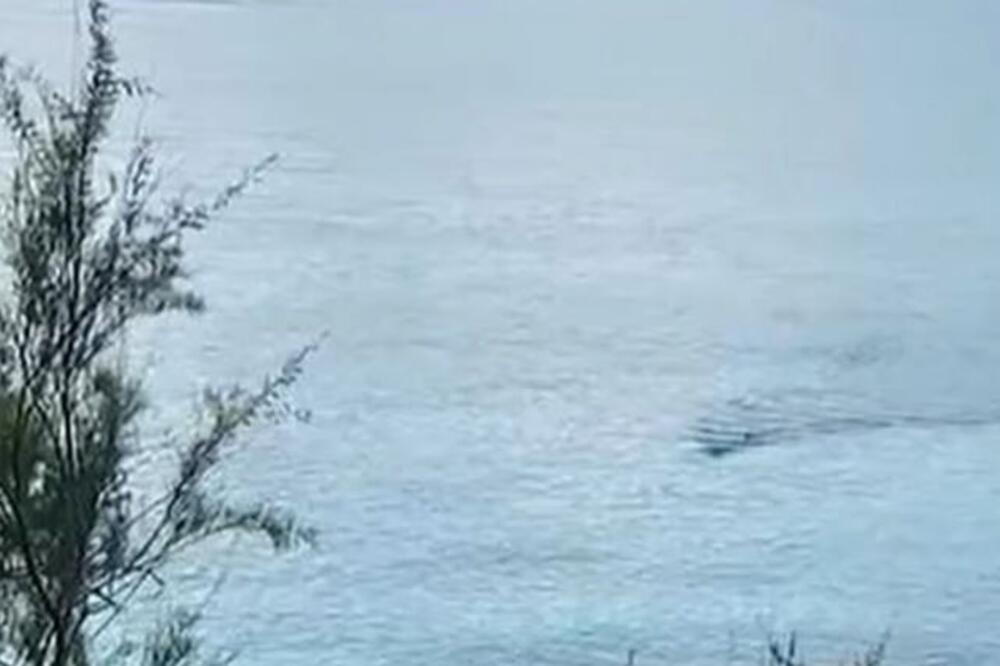 PRIZOR U JADRANU UZNEMIRIO SPLIĆANE: Šta ovo pliva u vodi? (FOTO)