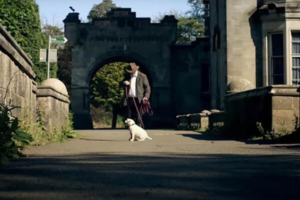 PSI SE UKOPAJU, A ONDA SKAČU U SMRT KAO OBUZETI: Vodila sam ga, on je samo stao i DESIO SE UŽAS (FOTO)