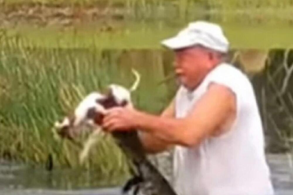 ČOVEK HEROJ SPASIO PSA IZ ČELJUSTI ALIGATORA: Ono što je uradio ZAPALILO MASU NA MREŽAMA - gest vredan divljenja