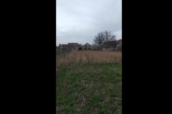 VIOLETA NUDI PRAZAN PLAC U PANČEVU ZA 72.000 EVRA: Prihvata i zamenu za stan u Novom Sadu, ljudi u neverici (FOTO)