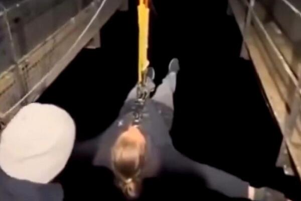 ŽENA SKAČE U AMBIS U KOM JE POTPUNI MRAK: Za koje pare biste SKOČILI SA 40 METARA? - video postao HIT NA MREŽAMA
