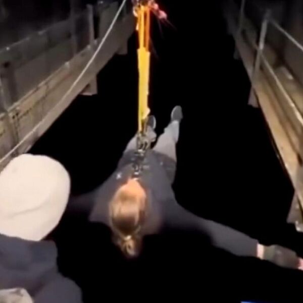 ŽENA SKAČE U AMBIS U KOM JE POTPUNI MRAK: Za koje pare biste SKOČILI SA 40 METARA? - video postao HIT NA MREŽAMA