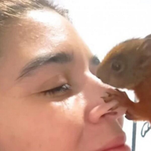 UZELA ZA LJUBIMCA BEBU VEVERICU: Iako je išla redovno u šumu uveče se VRAĆALA U SVOJ KREVETIĆ - evo kako sada žive